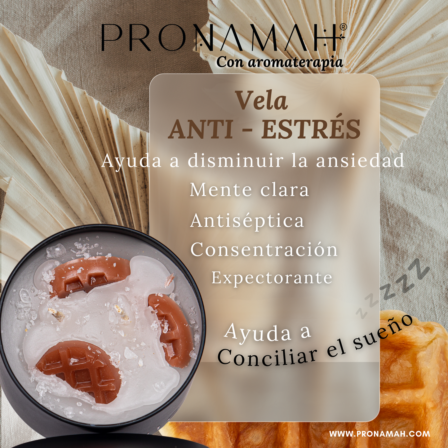 Kit de Regalo