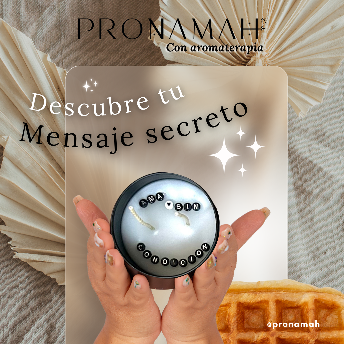 Kit de Regalo